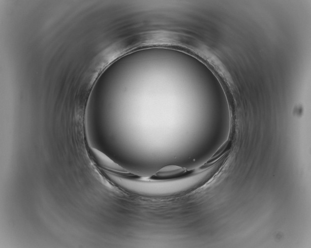 X0000091221337200708091400