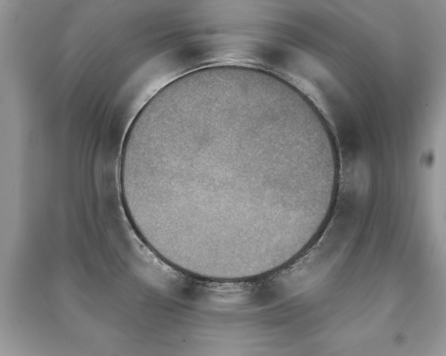 X0000091221338200708091400