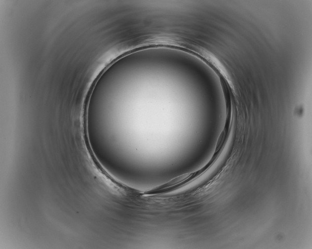X0000091221339200708091400
