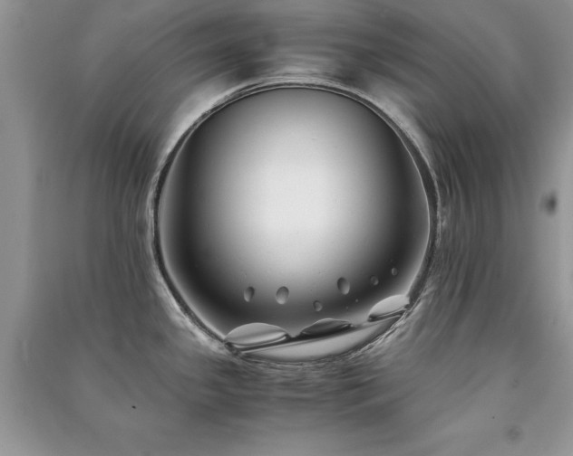 X0000091221341200708091400
