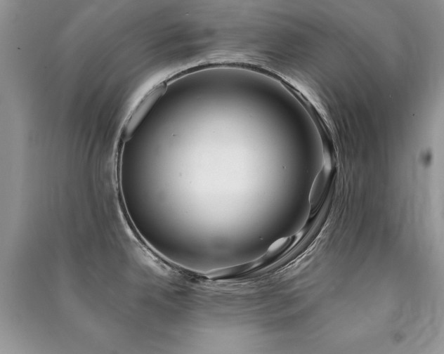 X0000091221342200708091400