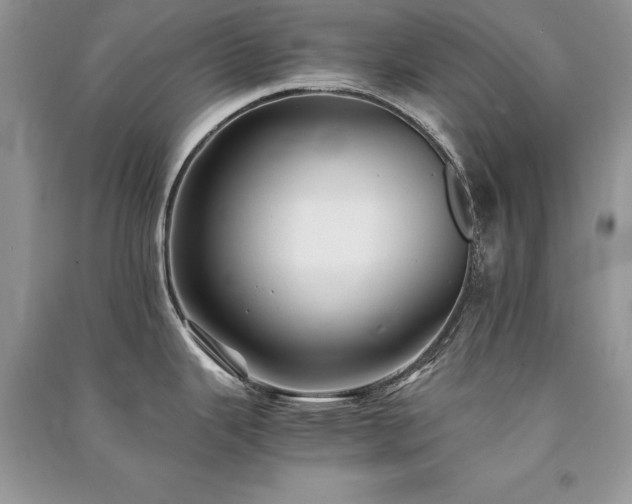 X0000091221343200708091400
