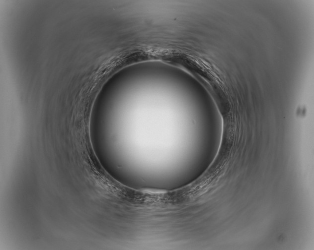 X0000091221345200708091359