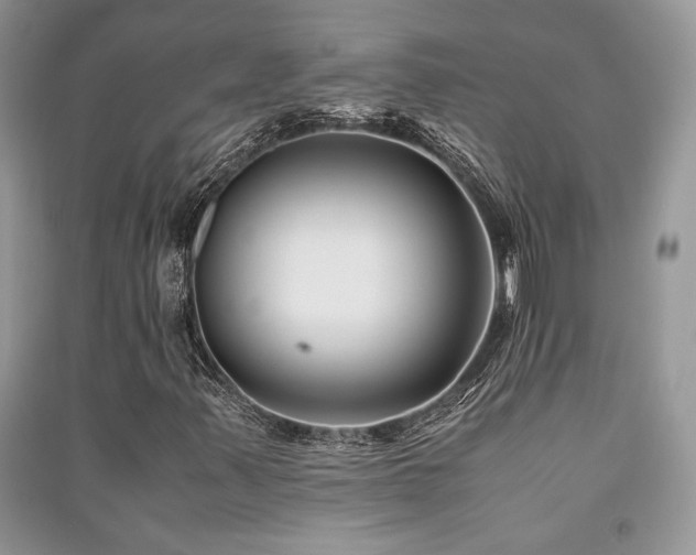 X0000091221347200708091359