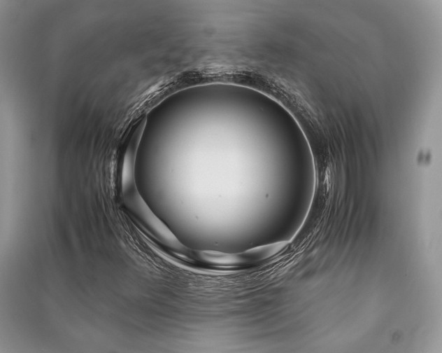 X0000091221348200708091359