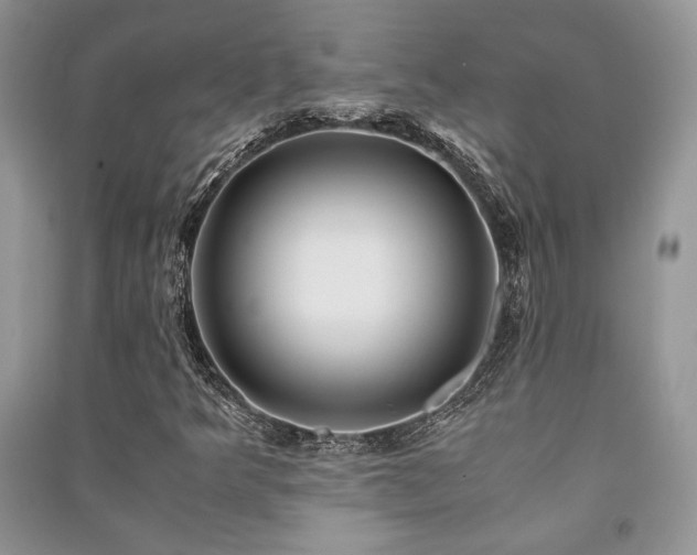 X0000091221349200708091359