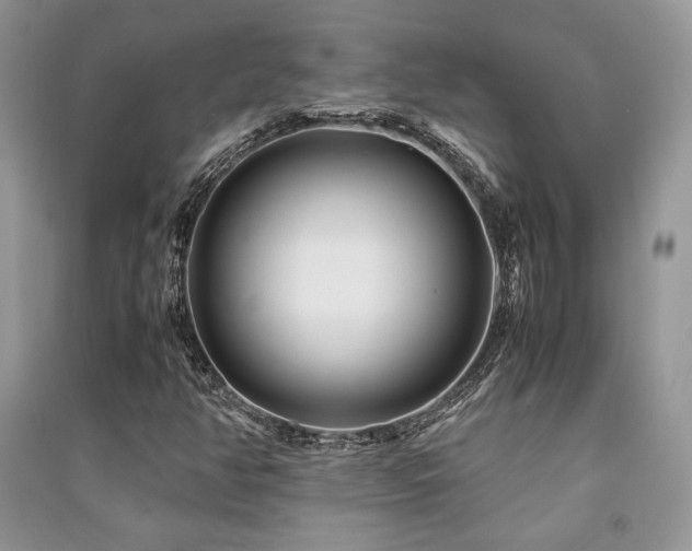 X0000091221350200708091359