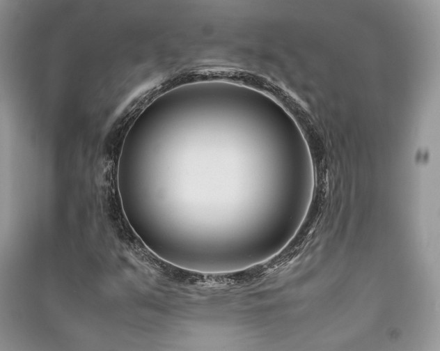 X0000091221351200708091359