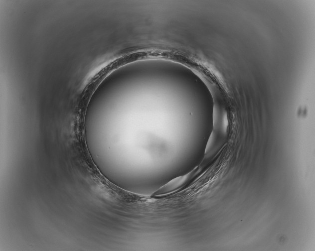 X0000091221352200708091359