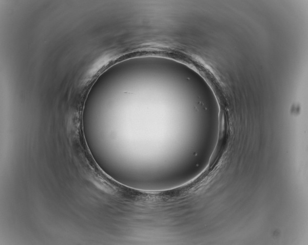 X0000091221355200708091359