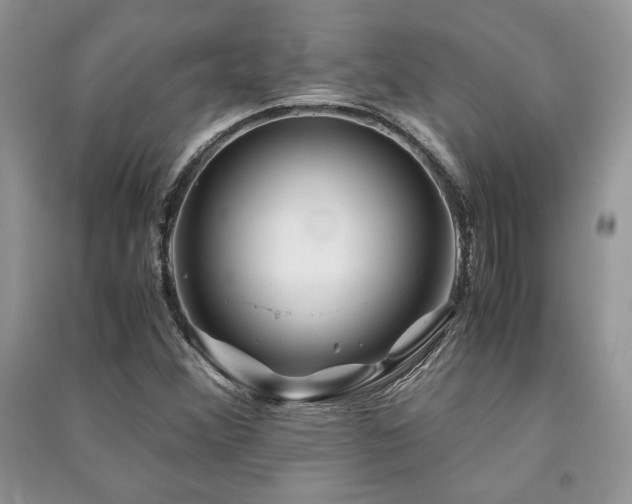 X0000091221356200708091359