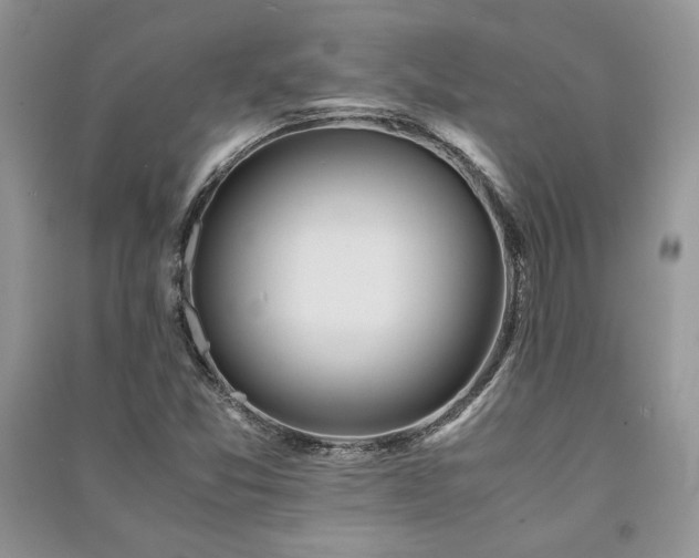 X0000091221357200708091359