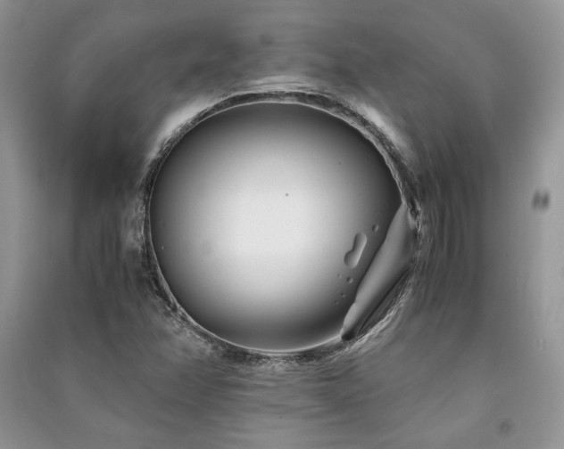 X0000091221358200708091359