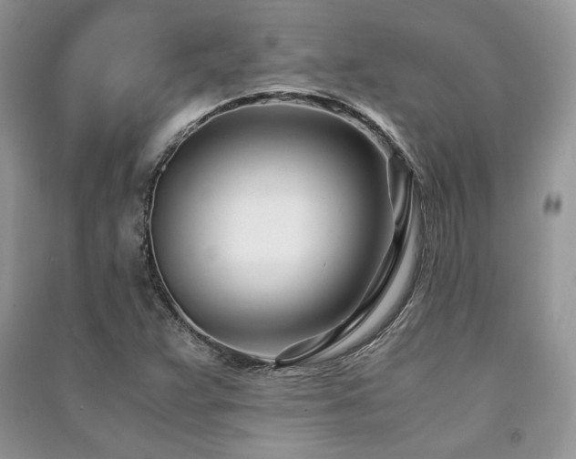 X0000091221359200708091359