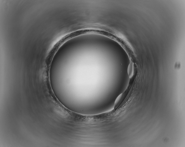 X0000091221360200708091359