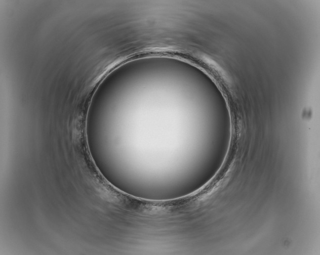 X0000091221361200708091359