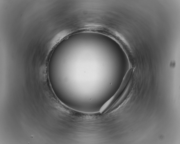 X0000091221362200708091359
