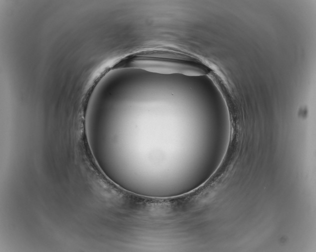 X0000091221363200708091359