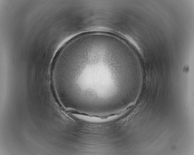 X0000091221364200708091359