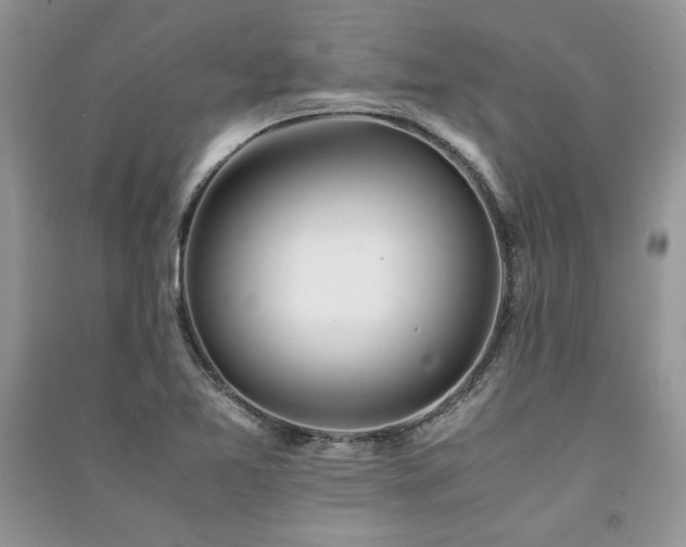 X0000091221365200708091359