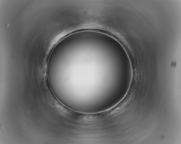 X0000091221366200708091359