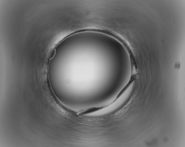 X0000091221367200708091359