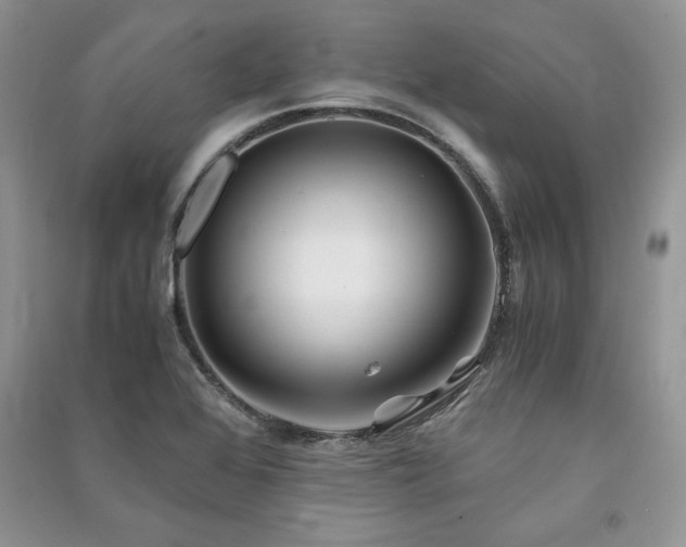 X0000091221368200708091359