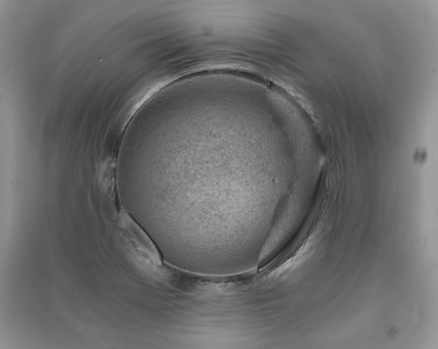 X0000091221369200708091359