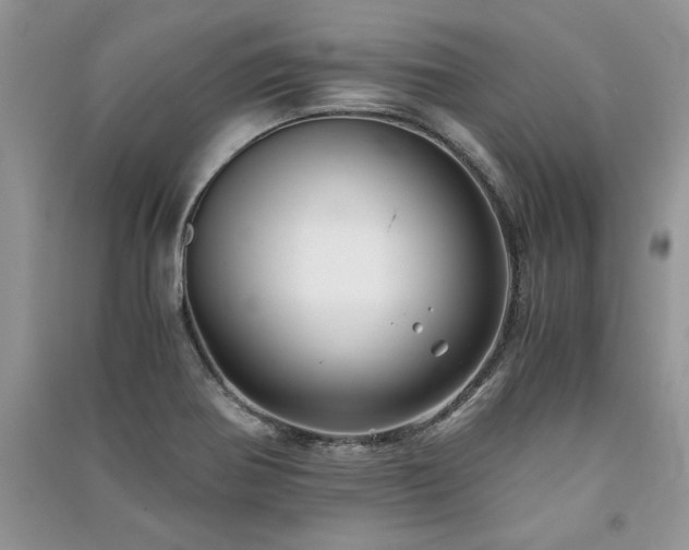 X0000091221370200708091359