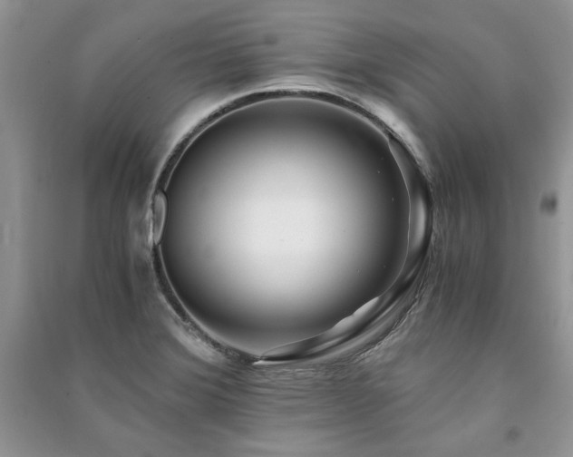X0000091221372200708091359