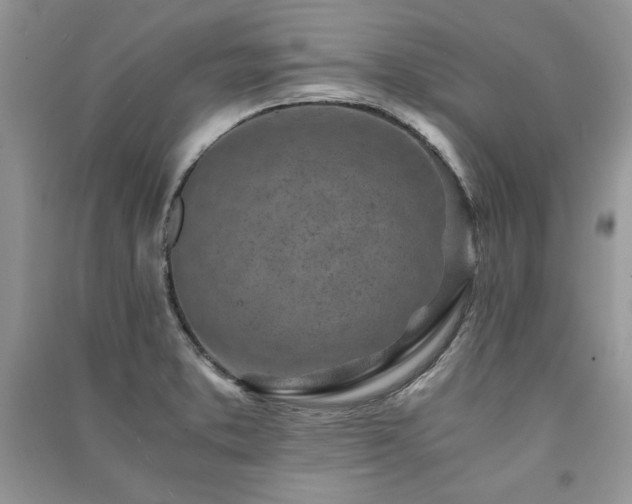 X0000091221373200708091359