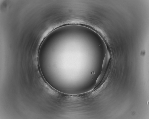 X0000091221374200708091359