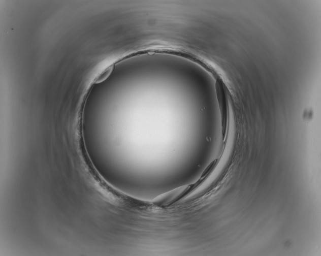 X0000091221375200708091359