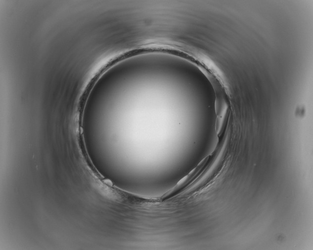 X0000091221376200708091359