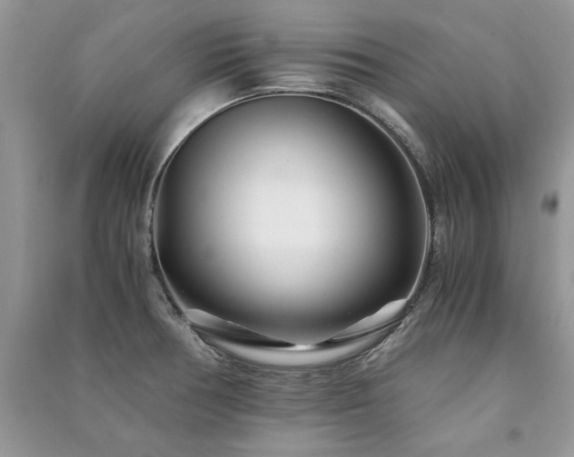 X0000091221378200708091359