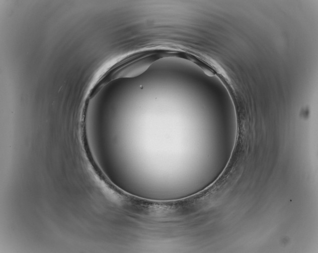 X0000091221379200708091359