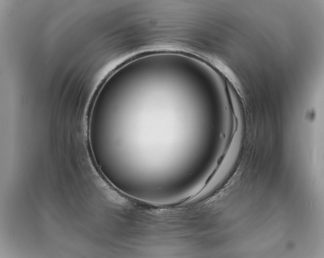 X0000091221380200708091359