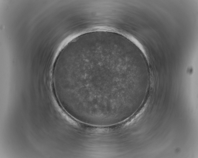 X0000091221381200708091359