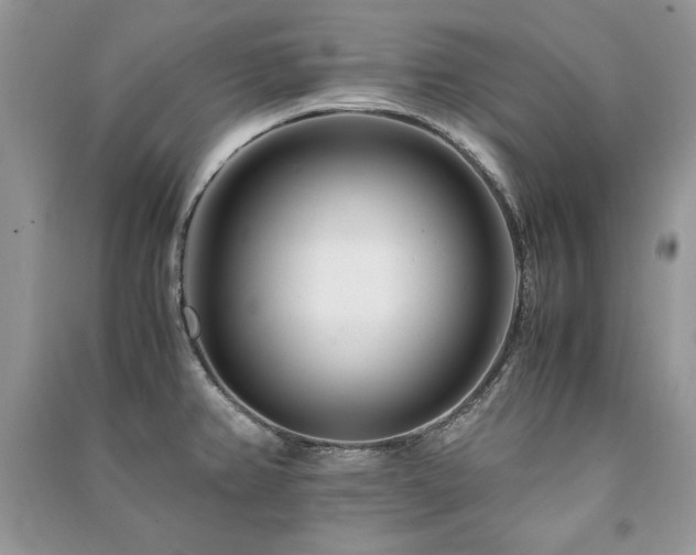 X0000091221382200708091359