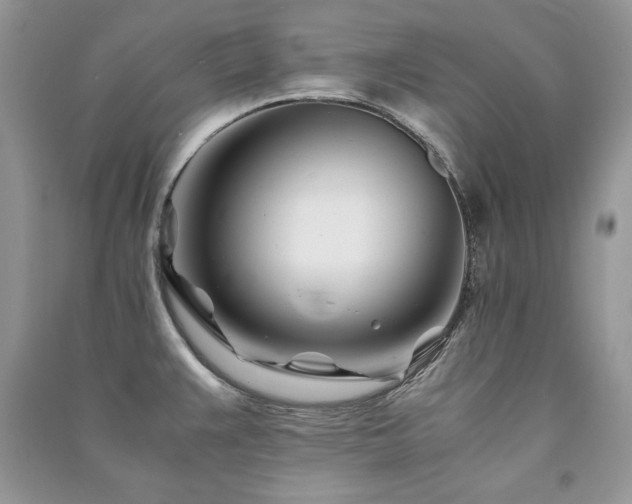 X0000091221383200708091359