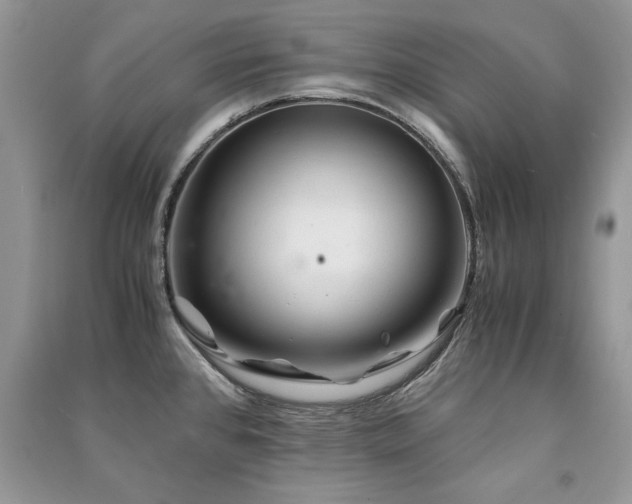 X0000091221384200708091359