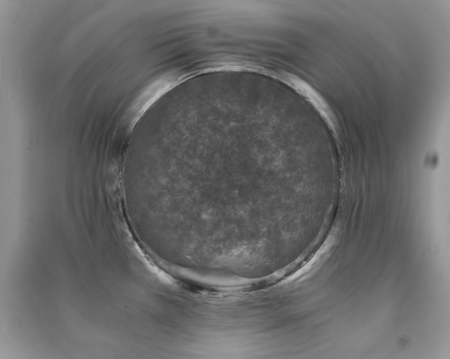 X0000091221385200708091359