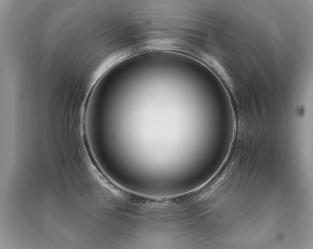 X0000091221386200708091359