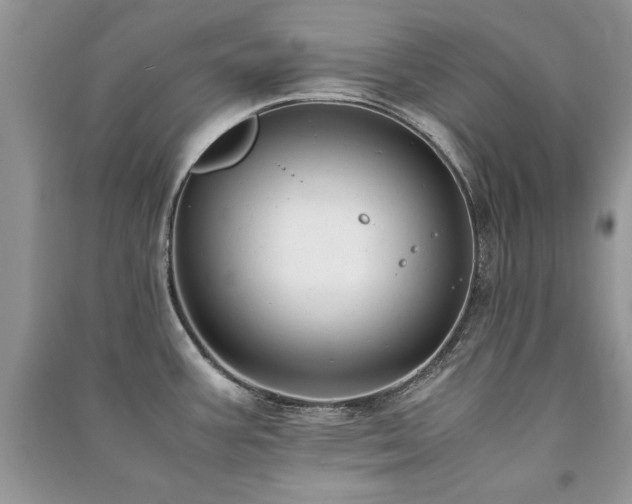 X0000091221387200708091359