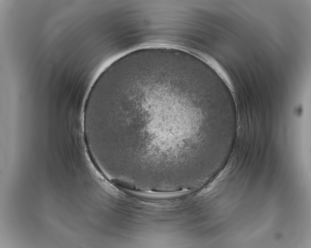 X0000091221388200708091359