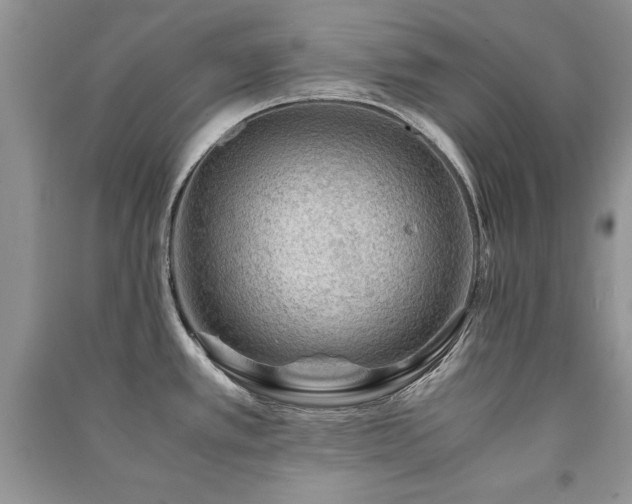 X0000091221389200708091359