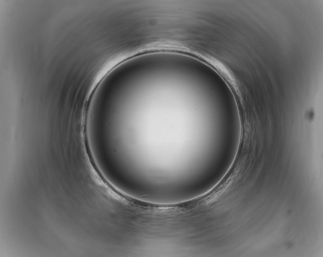 X0000091221390200708091359