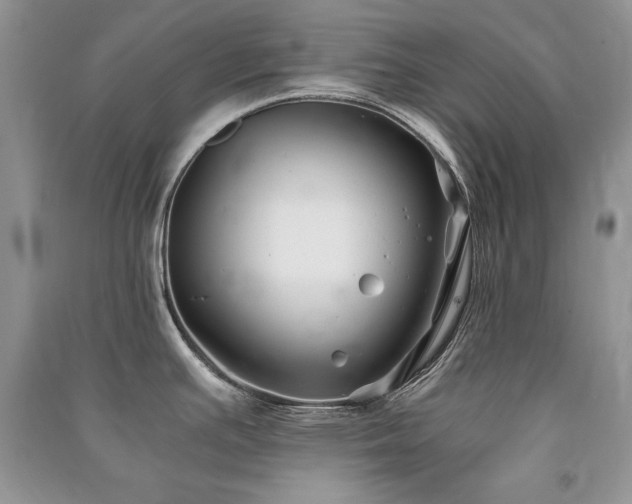 X0000091221391200708091359