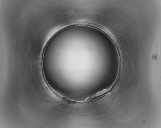 X0000091221392200708091359