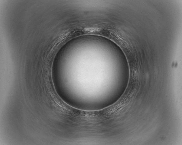 X0000091221393200708091358